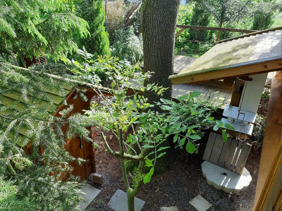 Baumhaus Wolfshoehle Fischach Екстер'єр фото